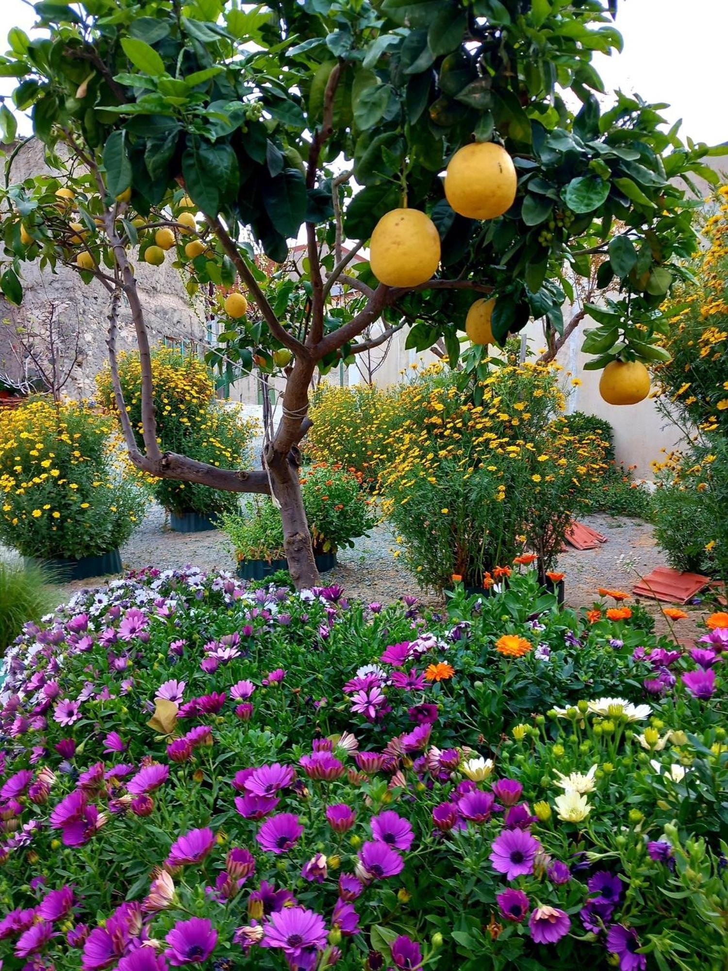 4 Seasons Suites Paradise Near Athens Airport 2 Markopoulo Mesogaias Экстерьер фото