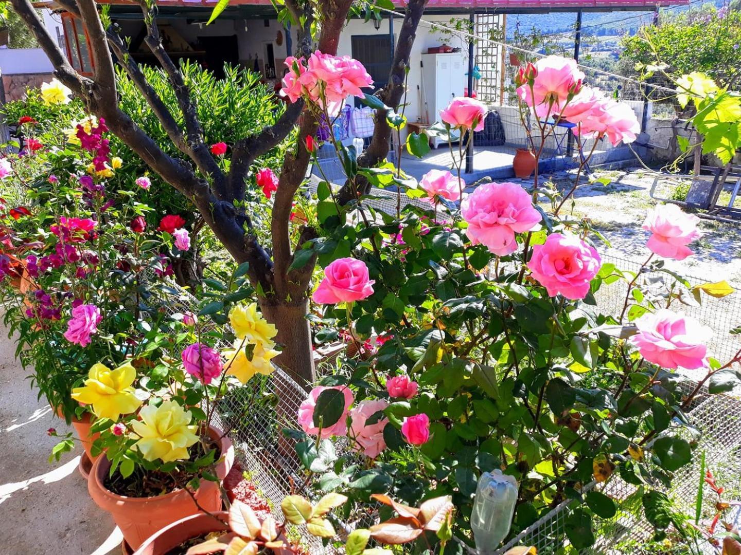 4 Seasons Suites Paradise Near Athens Airport 2 Markopoulo Mesogaias Экстерьер фото